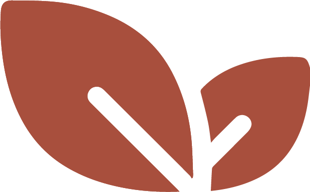 Icône vegan naturel couleur rouille